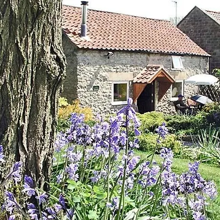 Old Barn